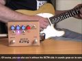 T Rex Gristle King With Tele And SG