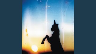 Wild Packs of Family Dogs (Live at the Social, Orlando, FL - February 2004)