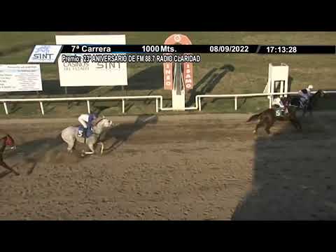 CARRERAS SINT FLORIDA 220908 c07- 1° WATCH THE DOG