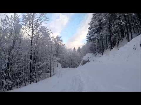 download lagu mp3 mp4 Vogel Blogspot, download lagu Vogel Blogspot gratis, unduh video klip Vogel Blogspot