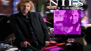 NiIs - Shake It 2010 (What The Funk ?)