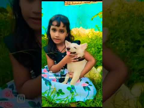 dog lover #short video