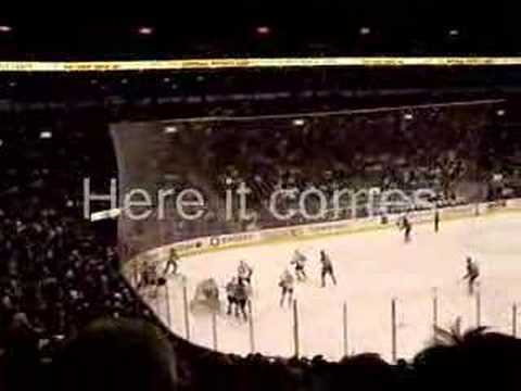 Toronto Maple Leaf Fans