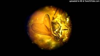 Don't Stop Amber!  Sublime vs. Brazilian Girls - Stephen Mix