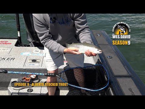 FTWWTV S09E09 - Alberta Stocked Trout