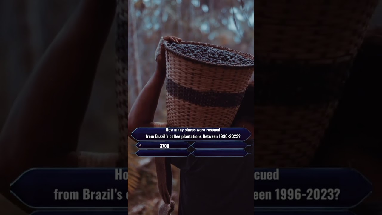 Modern slavery still taints the world’s coffee