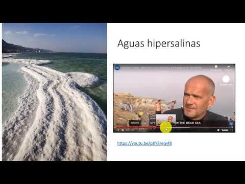 Vídeo: Biosfera e condicións de vida na Terra