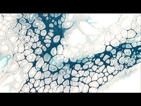 SIMPLE 1:2:3 PEARL CELL RECIPE 📝 Easy Acrylic Pouring / Acrylic Painting / Abstract Fluid Art (147)