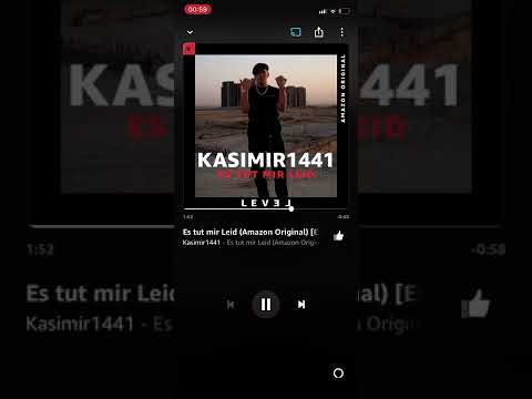 Es tut mir leid - Kasimir1441                 (Official audio)