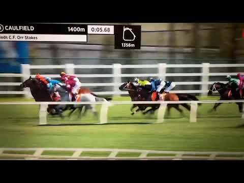 2021 NEDS C.F. Orr Stakes