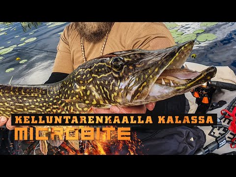 Kalassa Kelluntarenkaalla / Superhauska kalastusmuoto