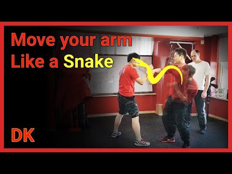 Move your arm like a Snake - DK Yoo