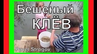 Ссылка