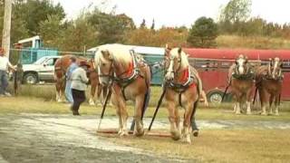 preview picture of video 'Huntsville Ontario Fall Fair 2009 Canada'
