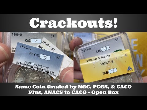 Crackouts! Same Coin Graded by NGC, PCGS, & CACG - How Do the Grades Compare? CAC Grading Open Box
