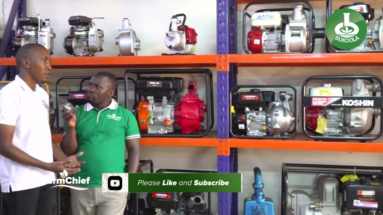 HOW TO SURVIVE IN FARMING DURING DRY SEASON.OWN A WATER PUMP MACHINE ON YOUR FARM.