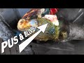 BLOOD AND PUS BUBBLES Treat A HOOF ABSCESS The Hoof GP