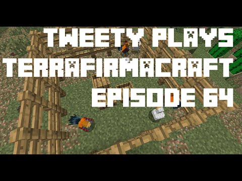 Tweety plays Terrafirmacraft ep 64 - Chicken Run