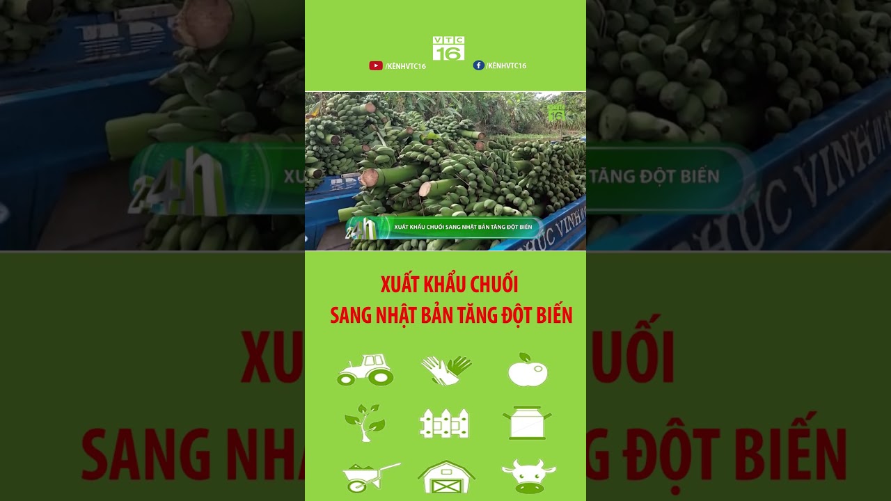 Nhật Bản chi 518 triệu USD nhập khẩu chuối | VTC16