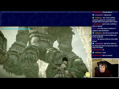 Shadow of the Colossus - No Fur Climbing Run