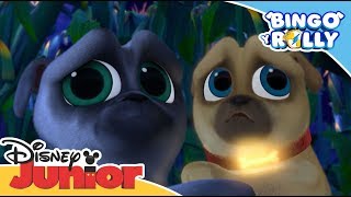 Bingo y Rolly: HALLOWEEN Momentos Mágicos - Regreso al huerto de calabazas | Disney Junior Oficial