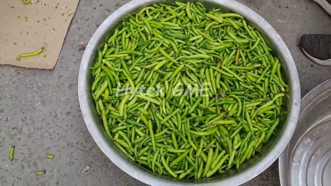 Chilli Stem Cutting Machine capacity 300-400kg per hour | Chilli stem cutter machine | Beans Snipper