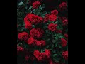 I Ll Be There Jess Glynne Slowed