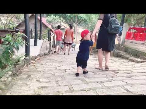 #Soda di cafe sinh thai