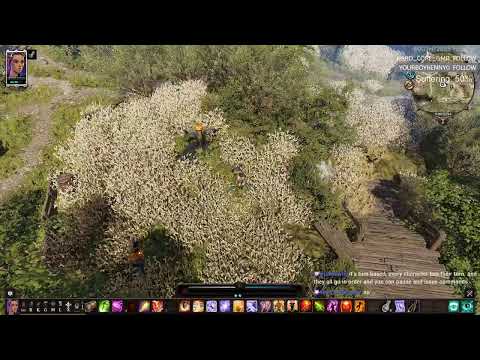 Divinity: Original Sin 2 DE | Solo No Lone Wolf Tactician Mode | Battlemage - Part 5