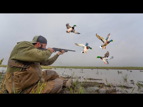SOLO DUCK HUNTING A SMALL FLOODED SLOUGH FOR MALLARDS!!