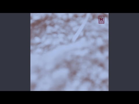 Fossils (feat. Sophia Tomelleri, Rafael Schilt, Raphael Walser & Noé Tavelli)