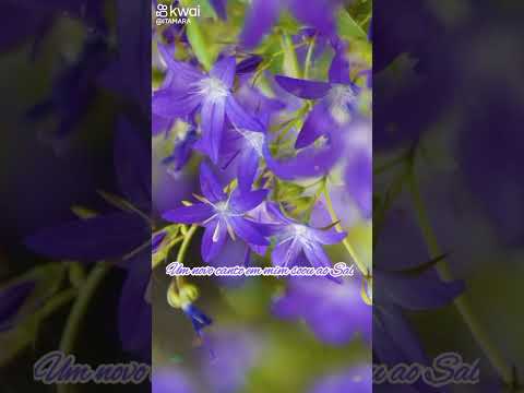 Hino da Harpa Cristã 496 Jesus Me Tirou da Lama ☝️🙌👑📖🕊❤️