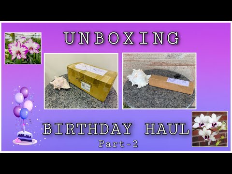 Unboxing Birthday Orchid Haul from Tree of Life & White Fairy Orchid | Part-2 |Plants Online #orchid