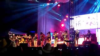 laberinto meneando la cola