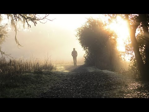 Ali Youssefi - Forgiveness