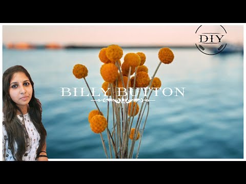 How to make billy buttons paper flower |തീര്‍ച്ചയായും നിങ്ങളും ചെയ്യും |