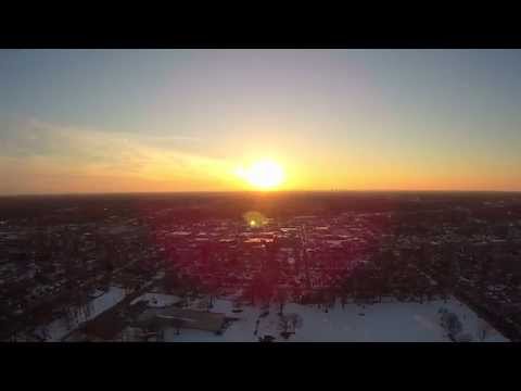 Flight at Sunset