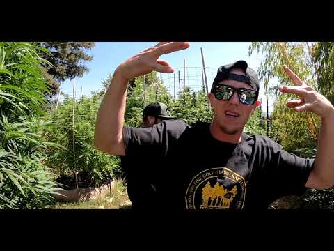 PEZ BRO - OFFICIAL MUSIC VIDEO