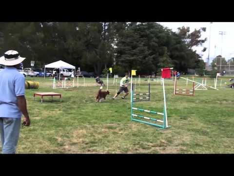 110508 Cisco Snooker 4