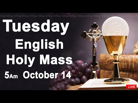 Catholic Mass Today I Daily Holy Mass I Tuesday October 14 2025 I English Holy Mass I 5.00 AM
