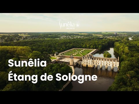 Camping Sunelia l'Etang de Sologne - Camping Loir-et-Cher - Image N°2