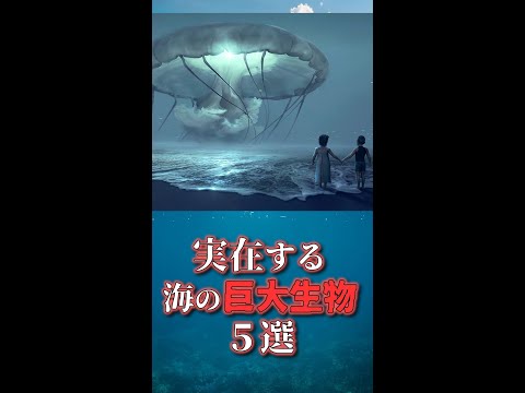 深海で新種の動物を発見:研究者らがピンク色のナマコを発見