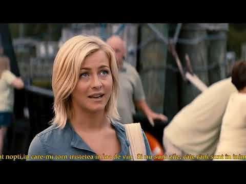 Marina Stankić i Slobodan Vasić  -  Kad zamirišu jorgovani - traducere romana.