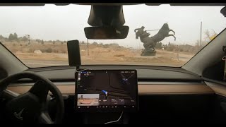 Lookout Mountain Colorado in the Fog - Full-Self Driving V13.2.2 Tesla Model Y Demo