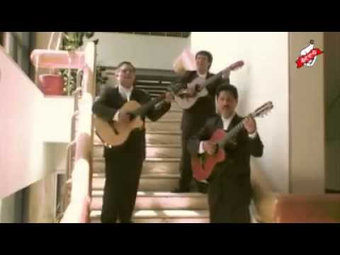 Triunfamos Los Antares