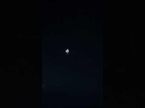 YouTube 썸네일