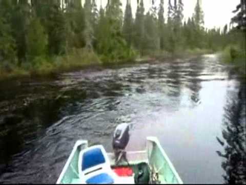 Ascending An Unnamed Tributary Of The Dusey River In Search Of Trout