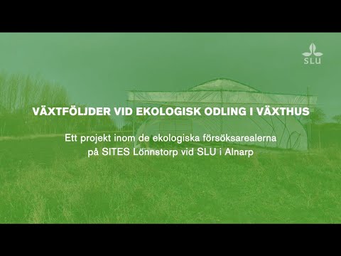 Växtföljder vid ekologisk odling i växthus