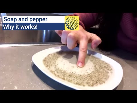 Why the soap and pepper experiment works