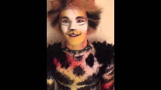 Harry Francis' (Mungojerrie) Quick Fire Questions  | Cats the Musical